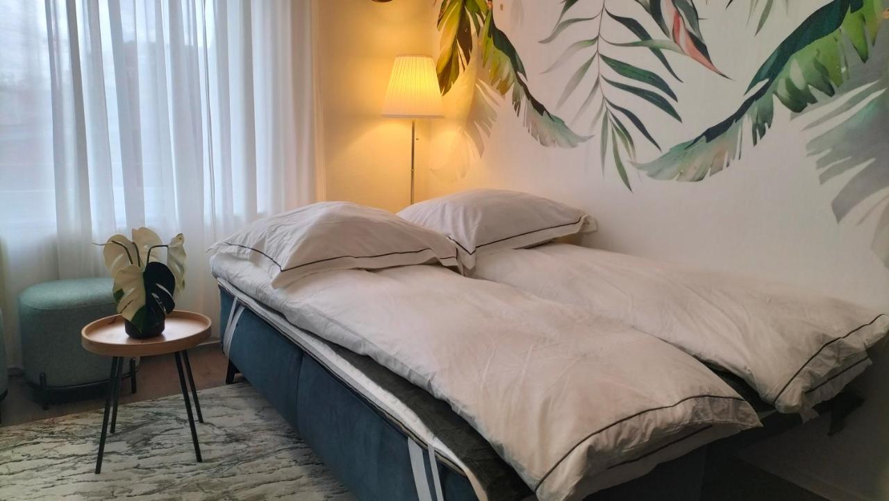 شقة King Bed 4 People Near Basel, Switzerland, Weil Am Rhein, Loerrach, Germ'Any, Near Airport سا لووي المظهر الخارجي الصورة